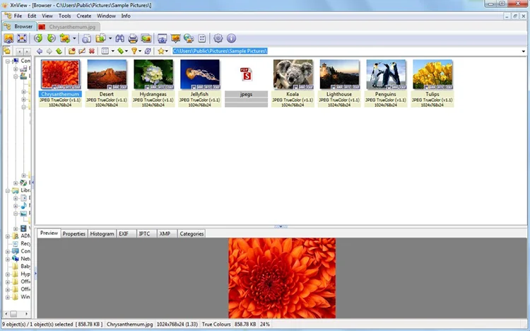 Как открыть файл DNG