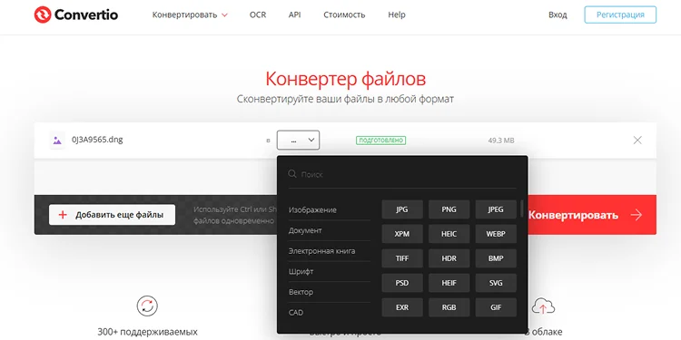 конвертация фото NEF в формат JPG