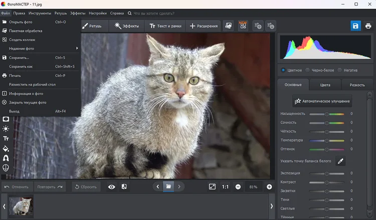 графический редактор ФотоМАСТЕР