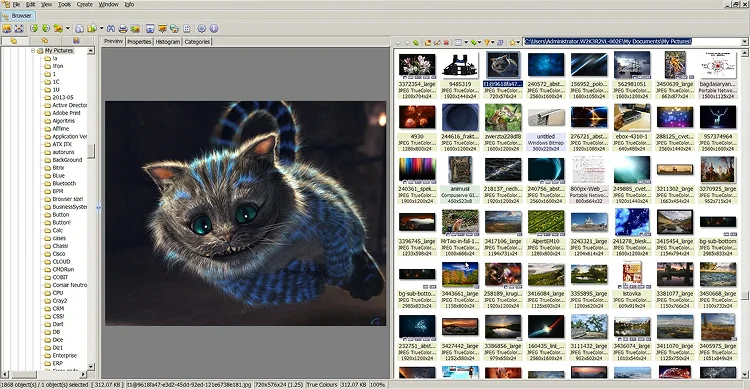 скриншот программы XnView