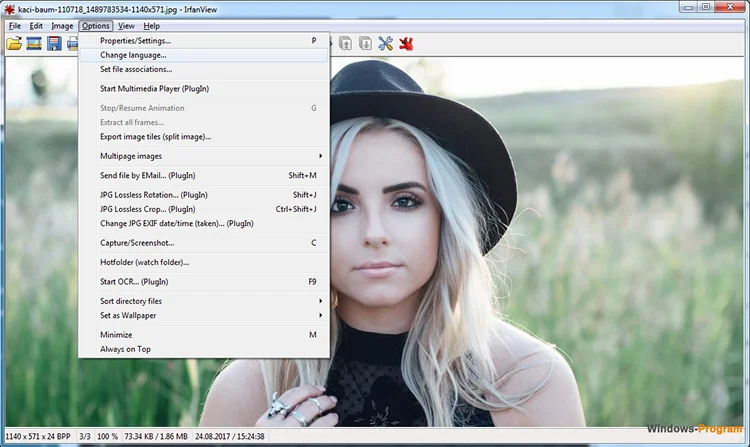 интерфейс IrfanView