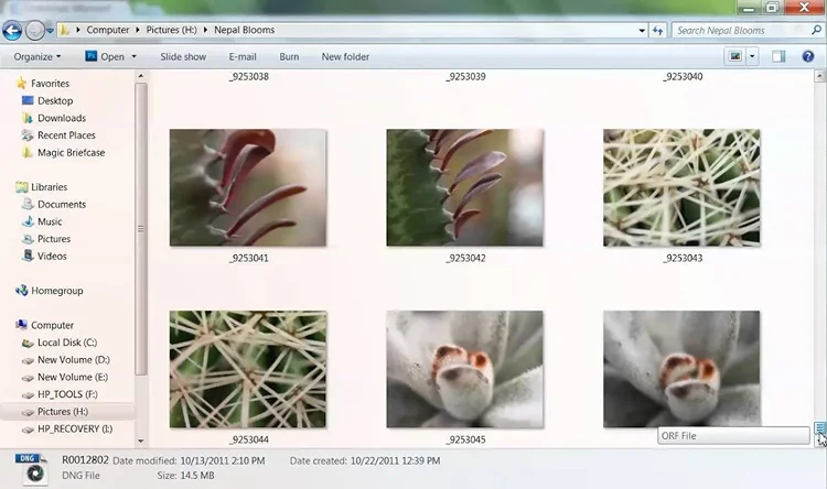 программа Microsoft Camera Codec Pack