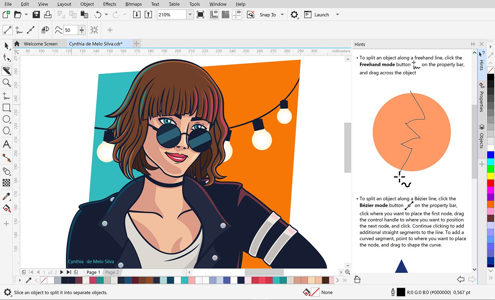 Какие из графических редакторов являются векторными adobe photoshop coreldraw paint