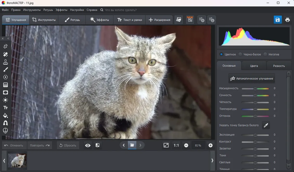 интерфейс программы ФотоМАСТЕР