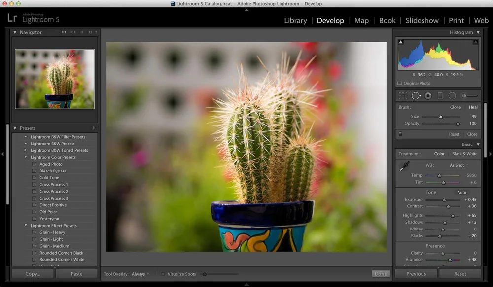 интерфейс adobe lightroom