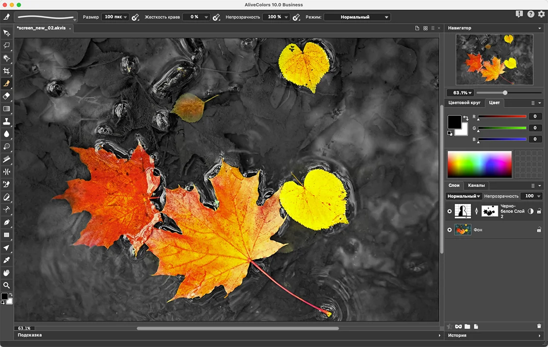 векторный графический редактор для Mac