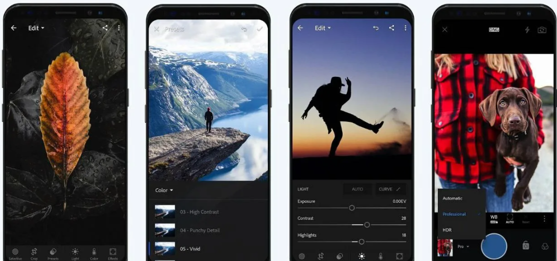 Lightroom Mobile — иллюстрация