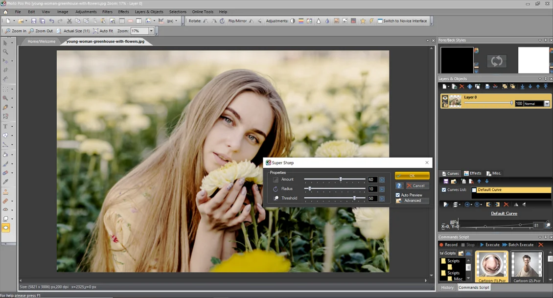 Интерфейс Photo Pos Pro