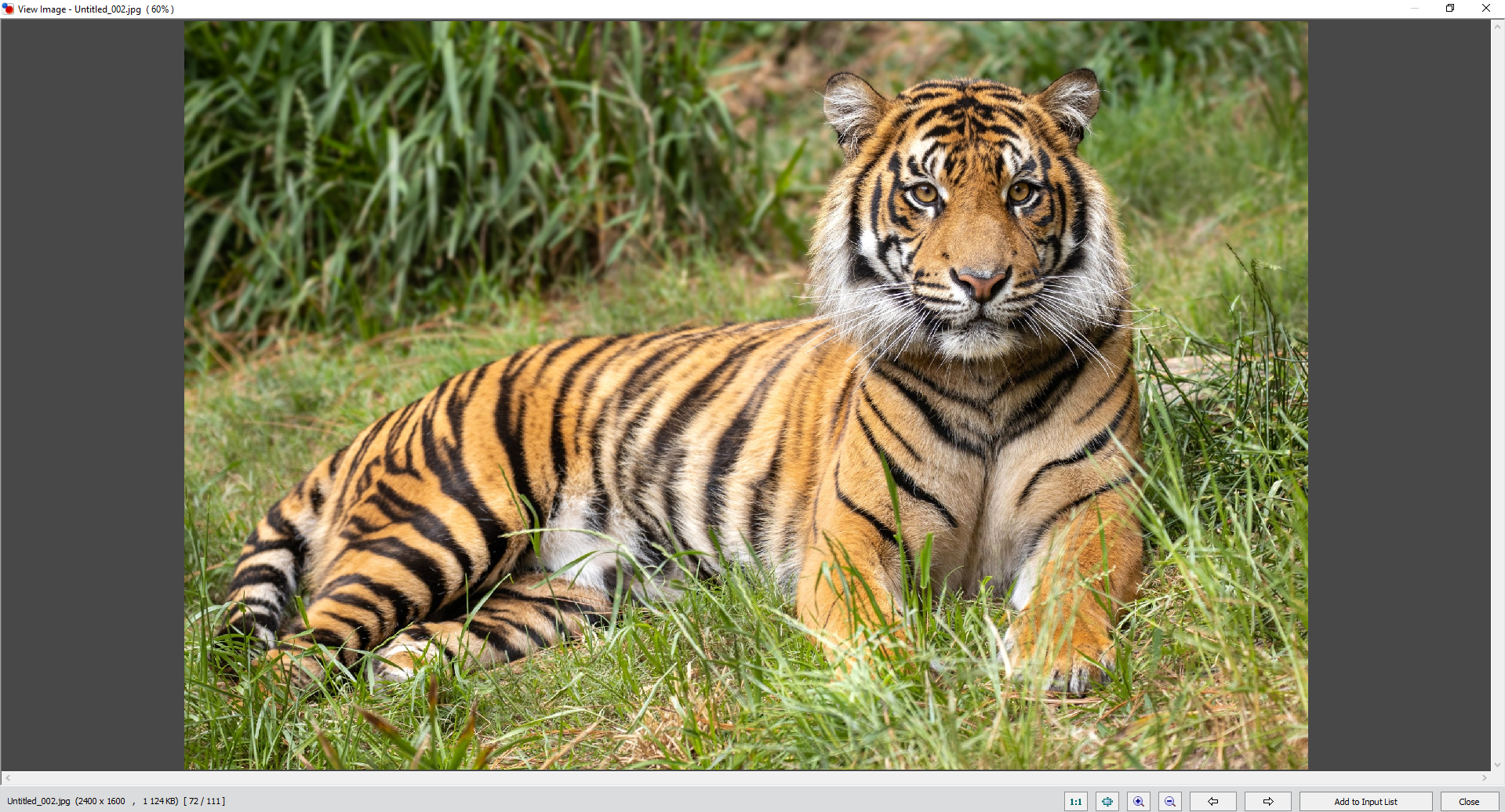 FastStone Image Viewer — иллюстрация