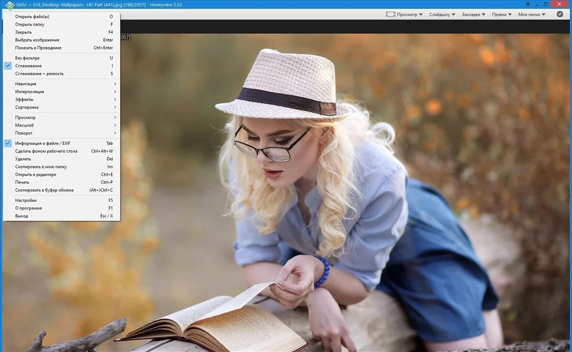 программа Honeyview