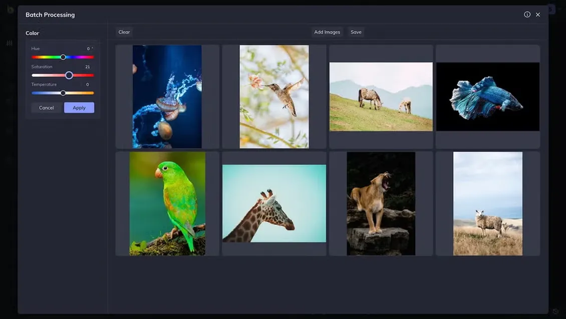 онлайн-платформа BeFunky