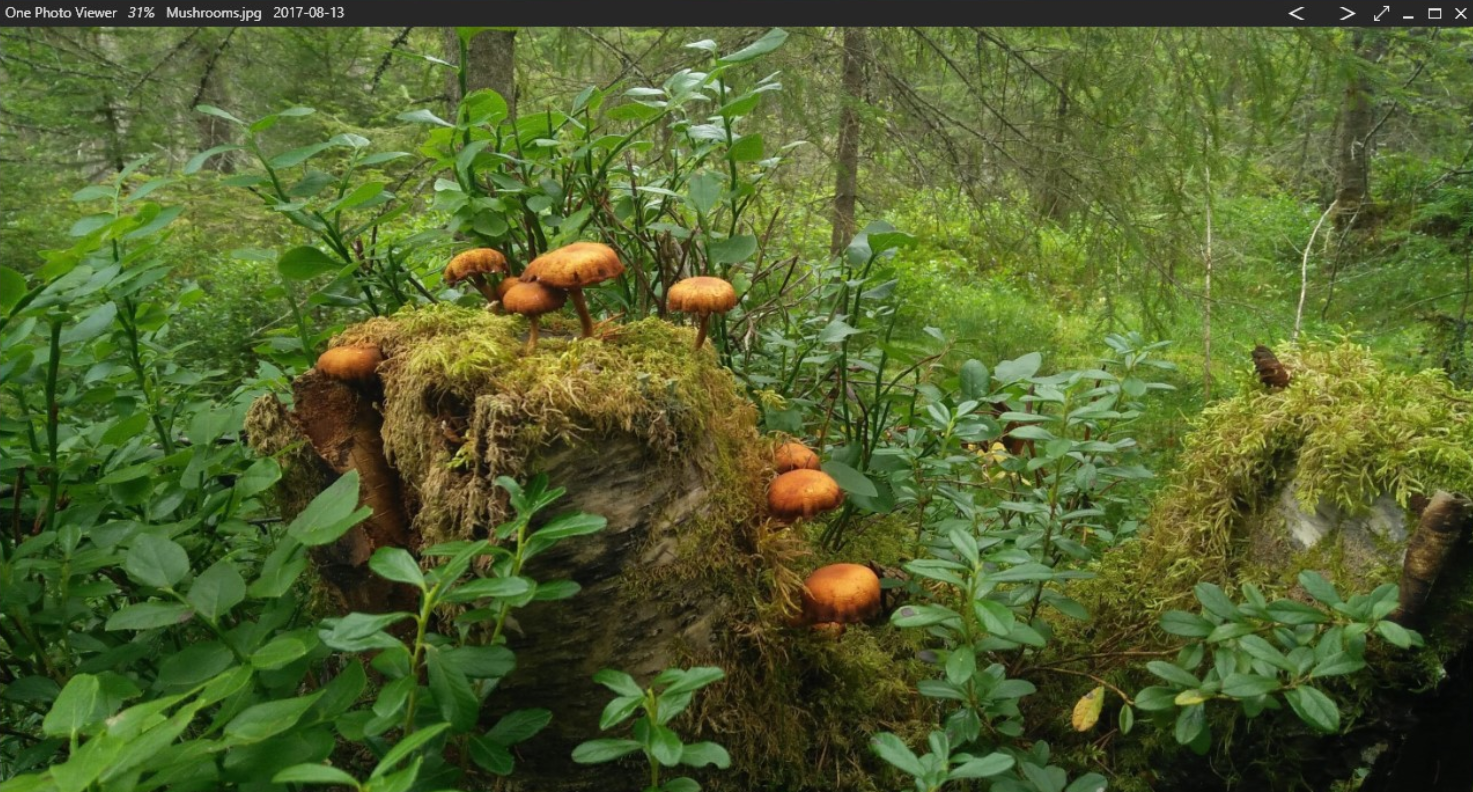 One Photo Viewer — иллюстрация