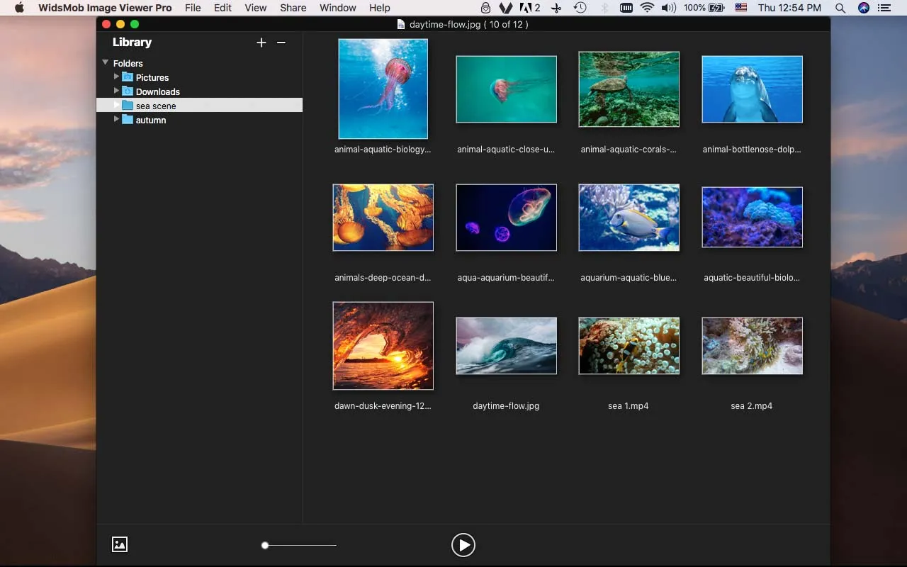 WidsMob Viewer Pro — иллюстрация