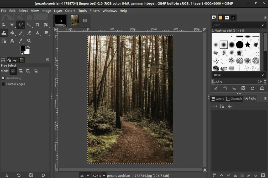 GIMP — иллюстрация