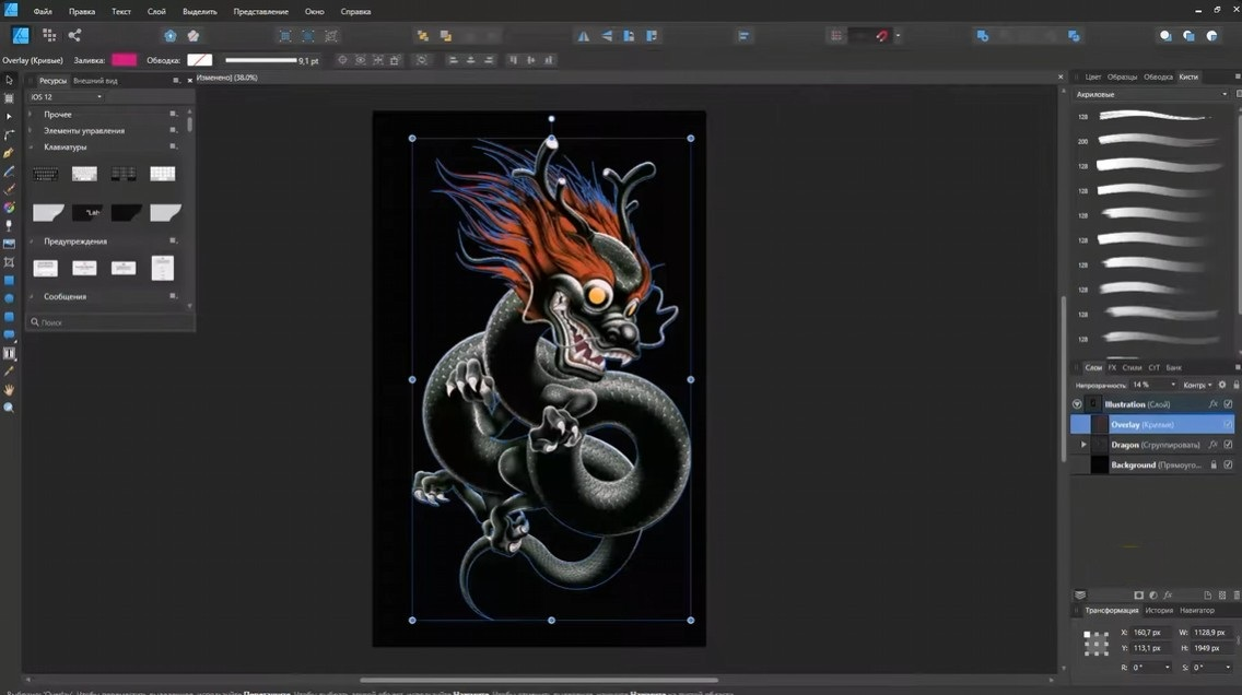 Affinity Designer — иллюстрация